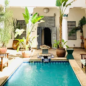 De Vinci & Riad