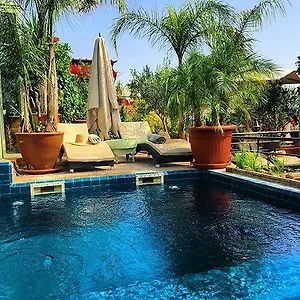 Moullaoud Riad